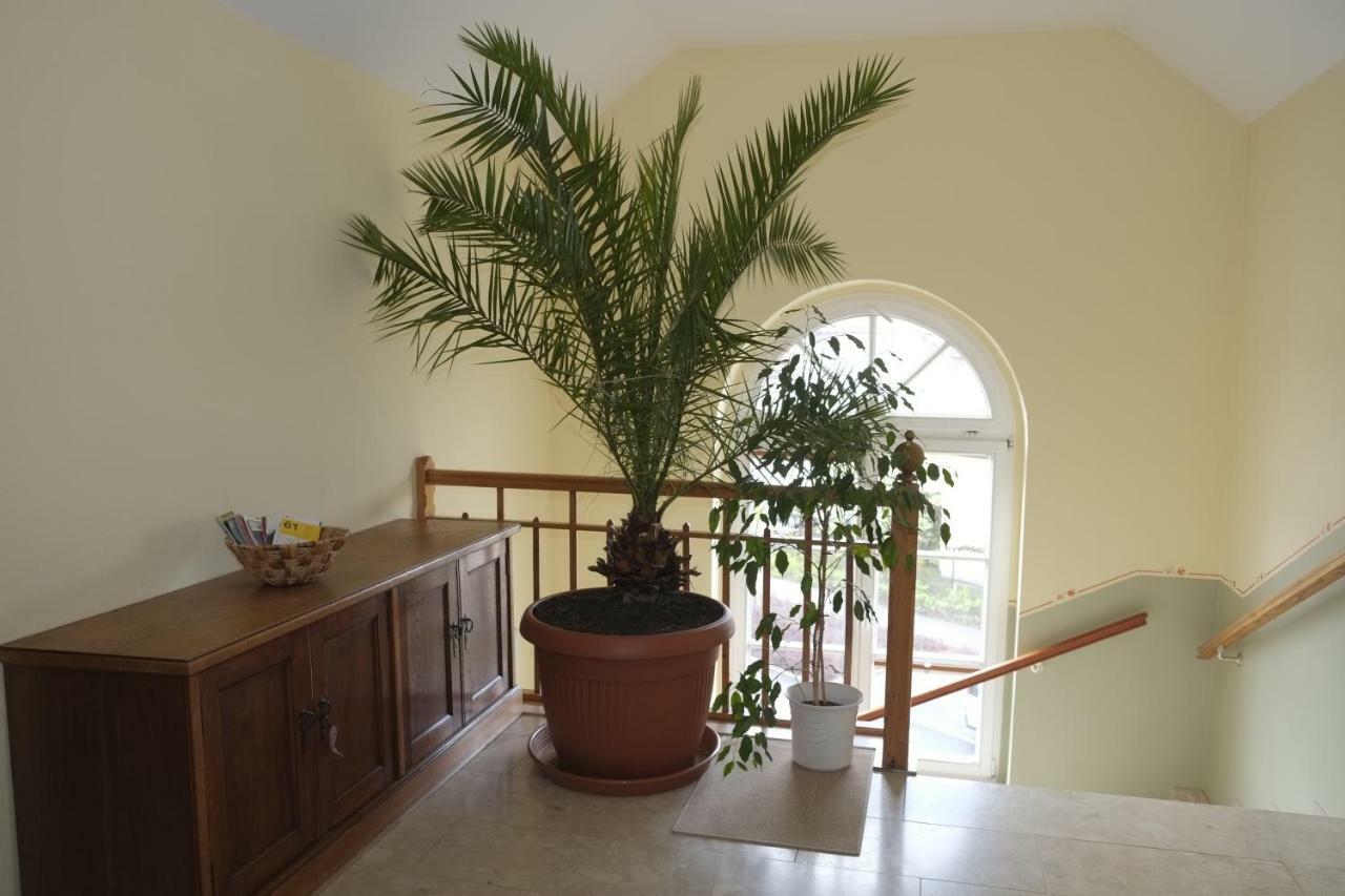 דרזדן Gaestewohnung Elstroem מראה חיצוני תמונה