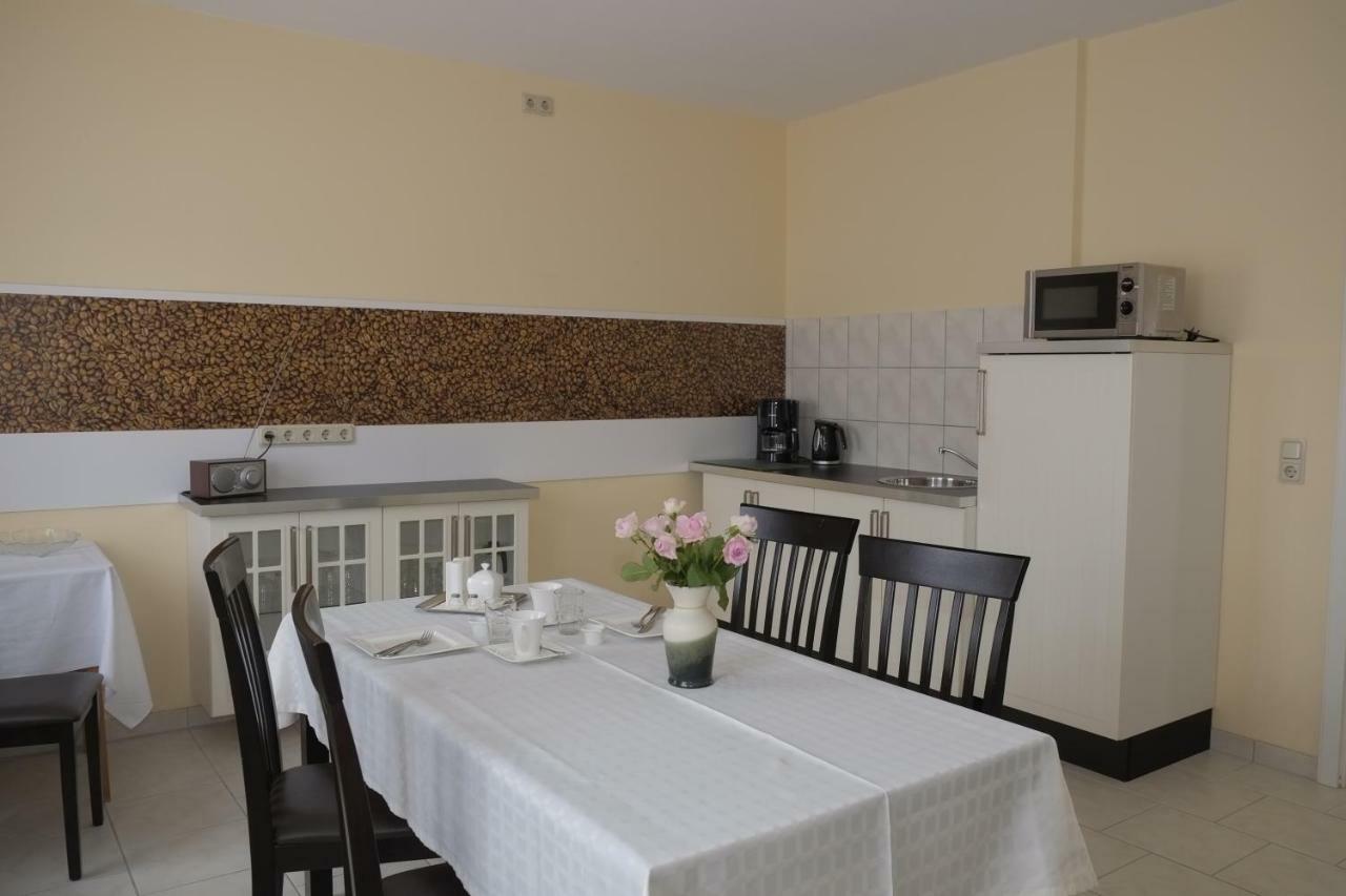 דרזדן Gaestewohnung Elstroem מראה חיצוני תמונה